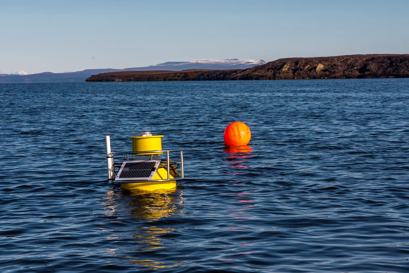 Buoy
